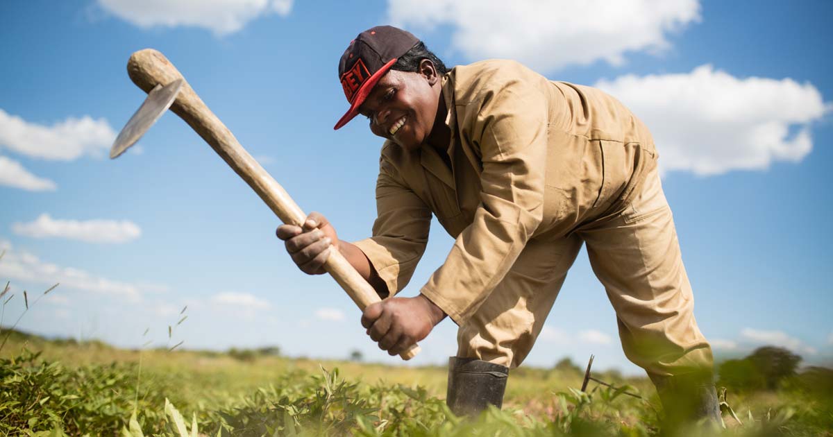 Kiva in samenwerking met Made In